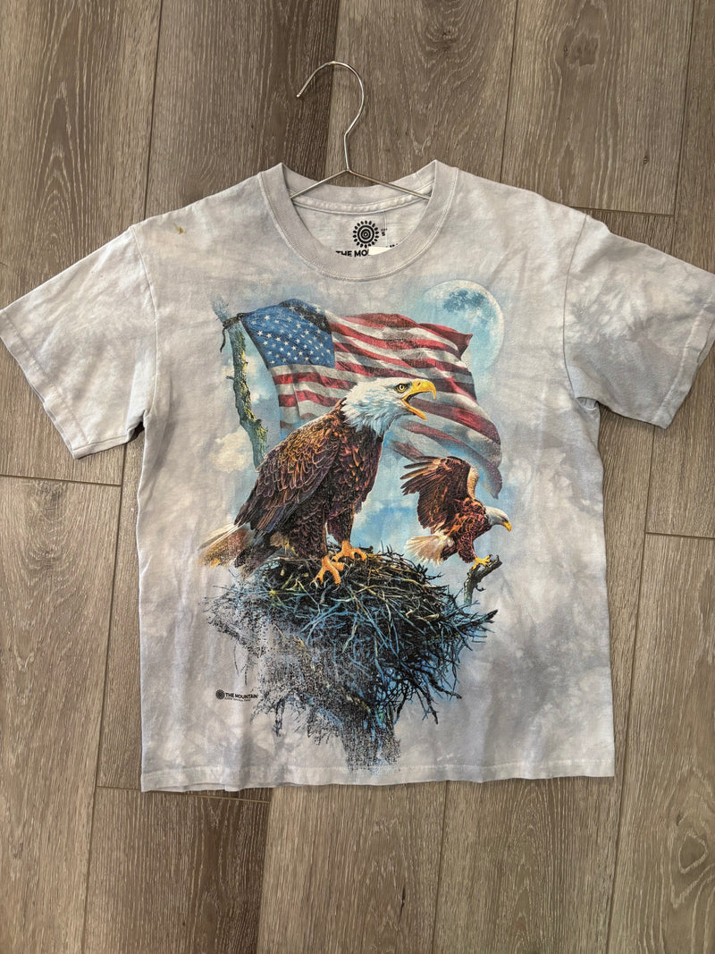 Bald Eagles/American Flag