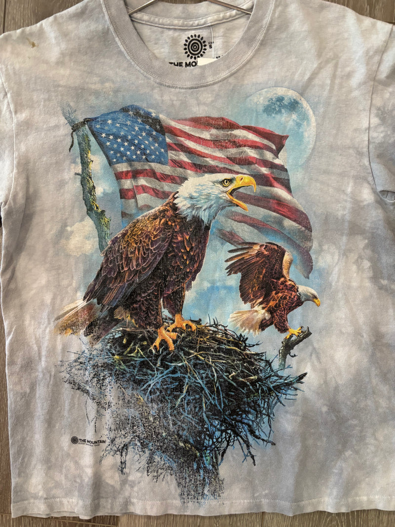 Bald Eagles/American Flag