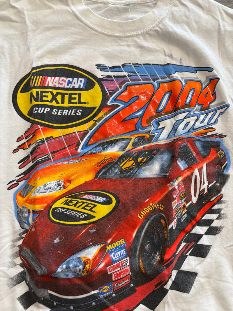 2004 NASCAR Series
