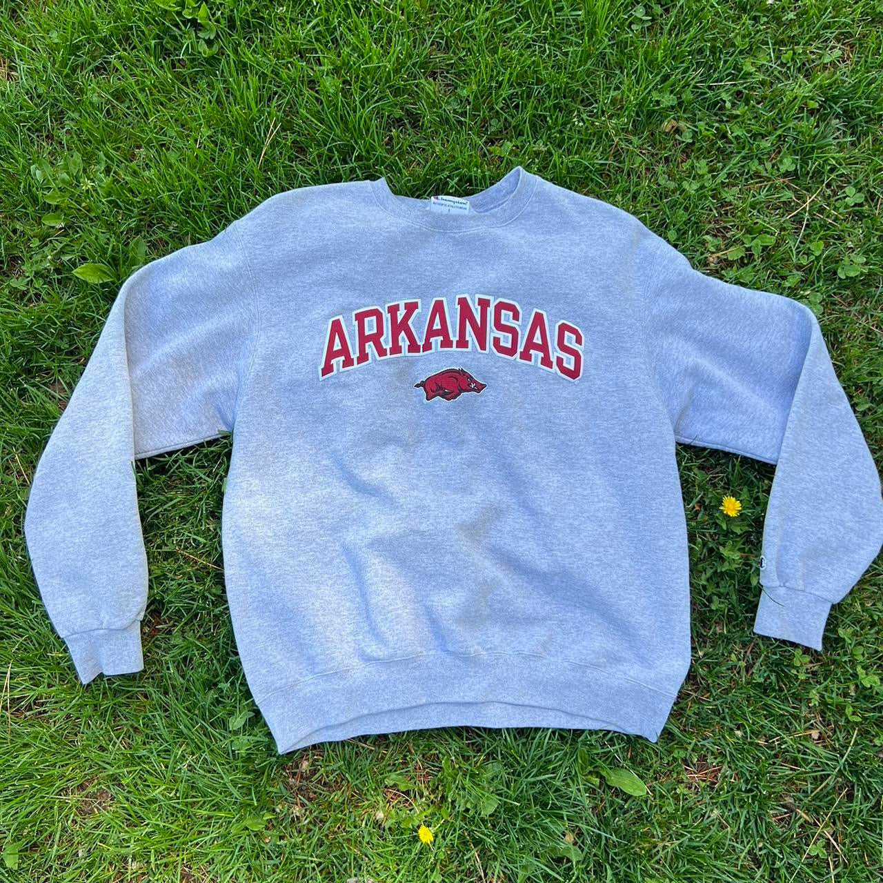 Arkansas Crewneck