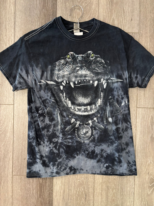 Alligator