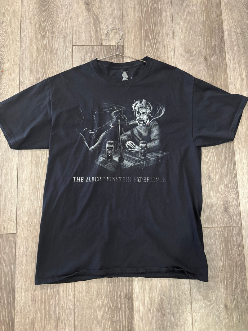 The Albert Einstein Experience