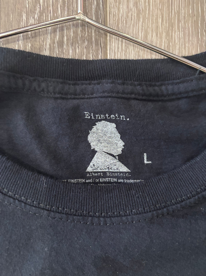 The Albert Einstein Experience